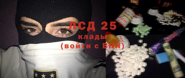 PSILOCYBIN Няндома