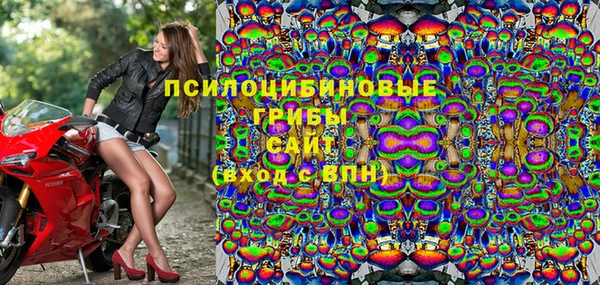 PSILOCYBIN Няндома