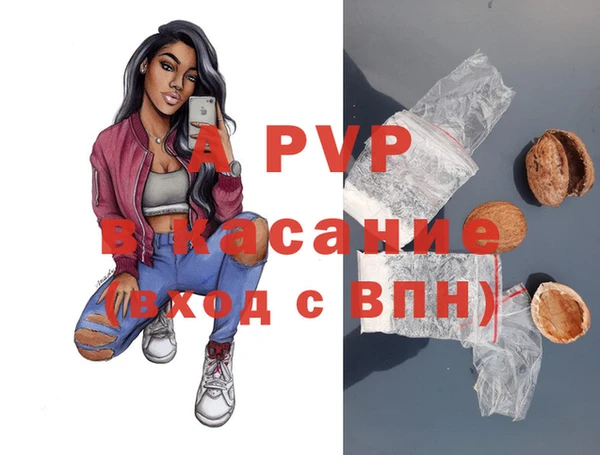 PSILOCYBIN Няндома